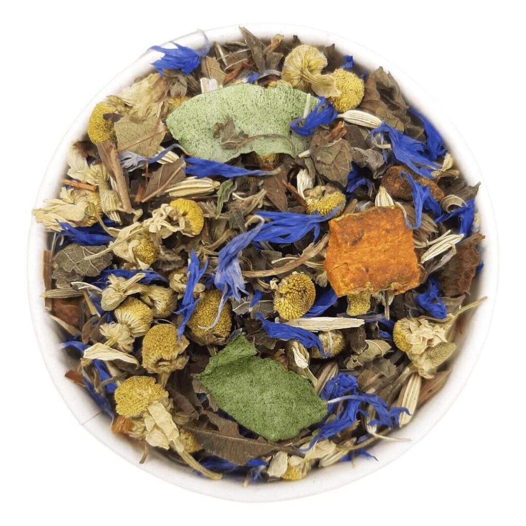 Seaside Feeling thee